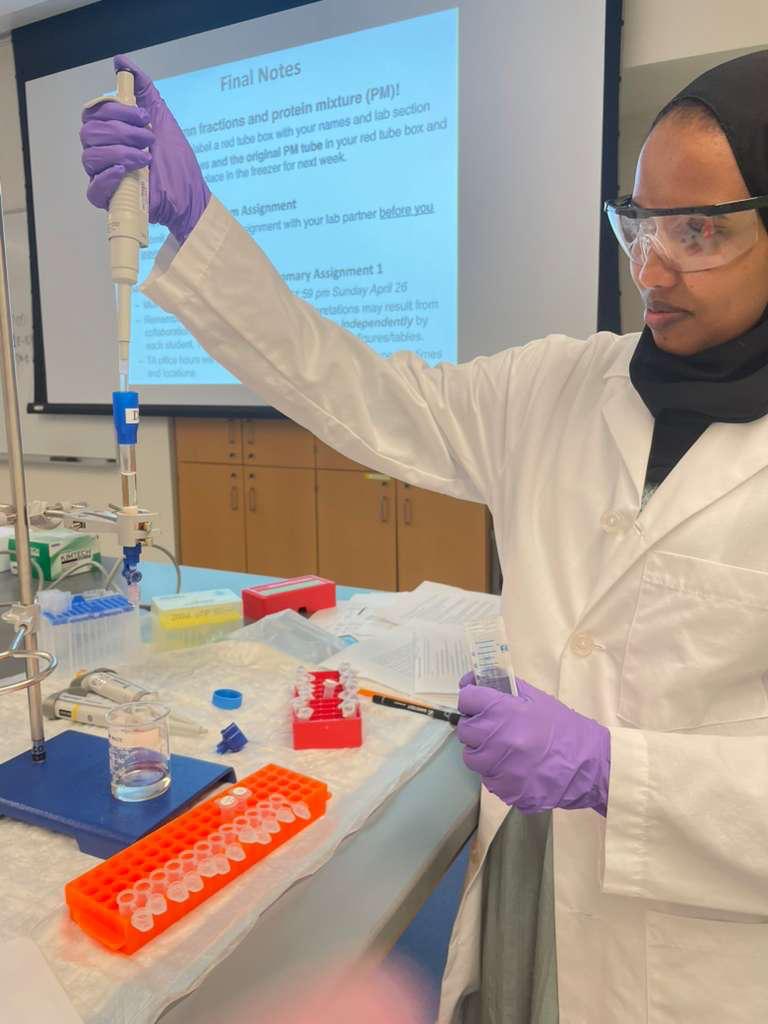 Lab work